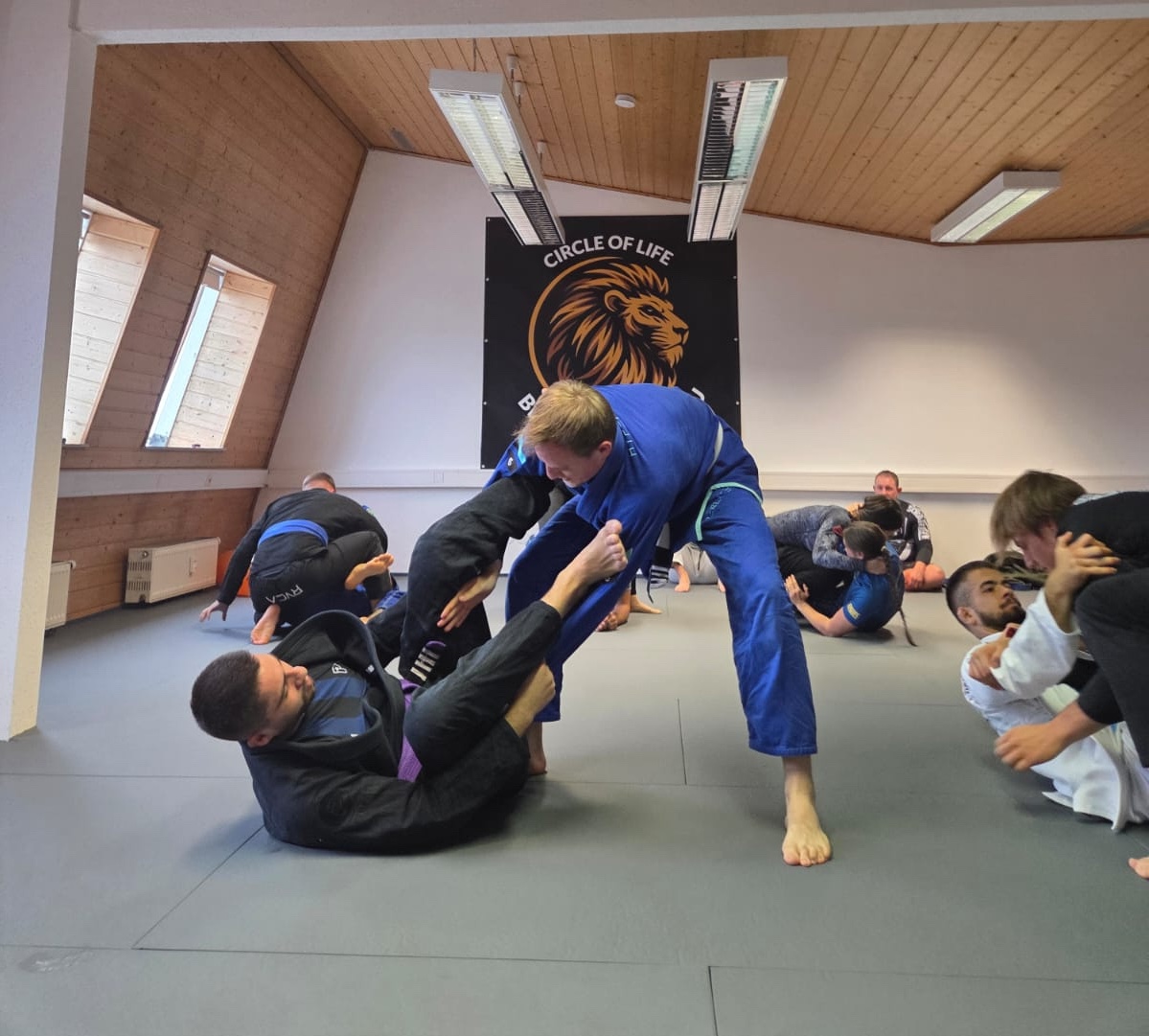 BJJ im Gi – Technikdrills